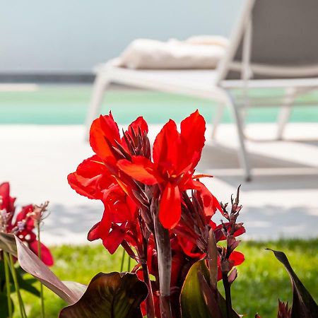 Epavli Boutique Hotel Chania  Екстер'єр фото